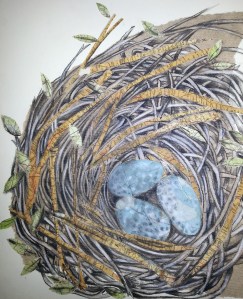 Carol Ramsay nest collage2 (2)