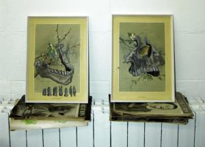 Kirsten Little - untitled