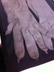 Untitled - Tabitha Moses