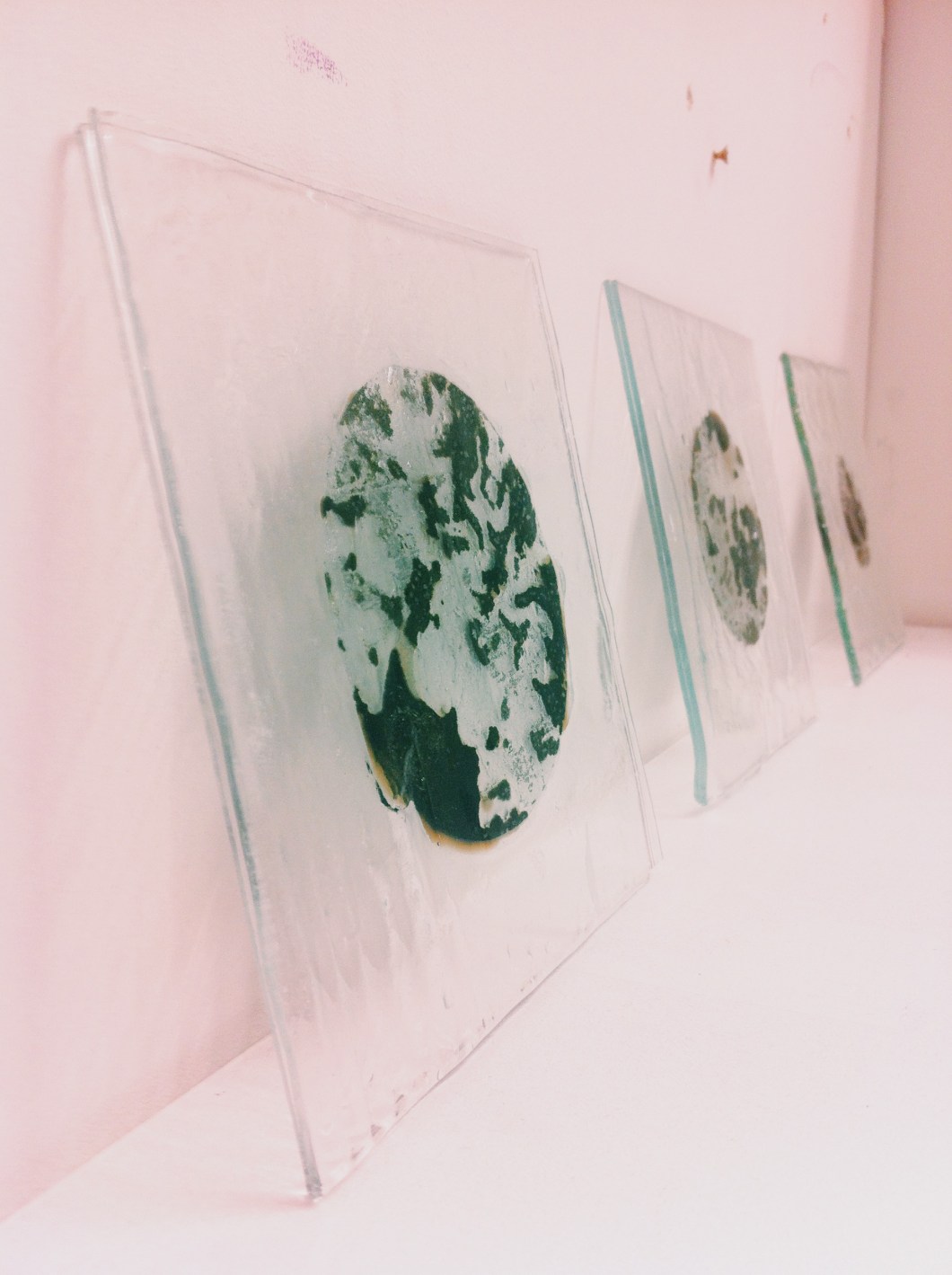 Processed with VSCOcam with c1 preset