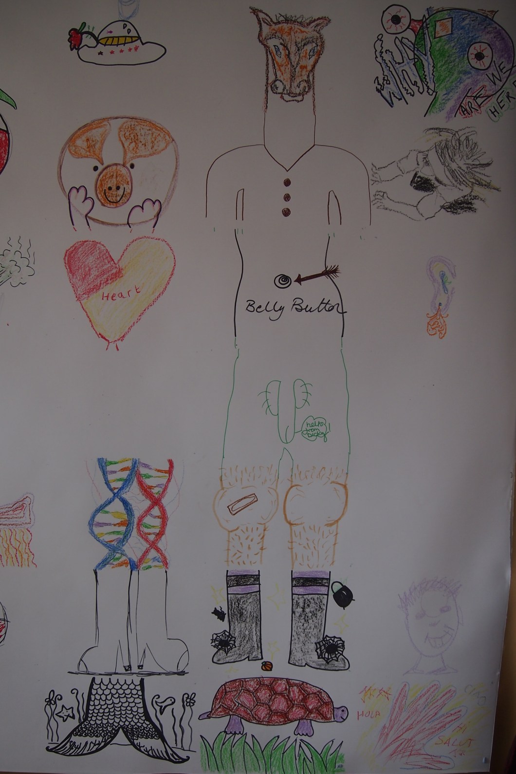 OLYMPUS DIGITAL CAMERA